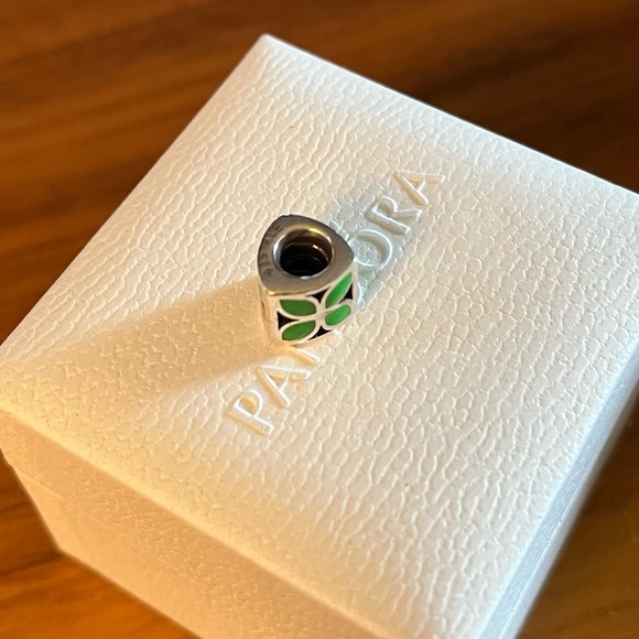 Silver Charms - Picture 2 of 6